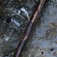 A broken waterline.